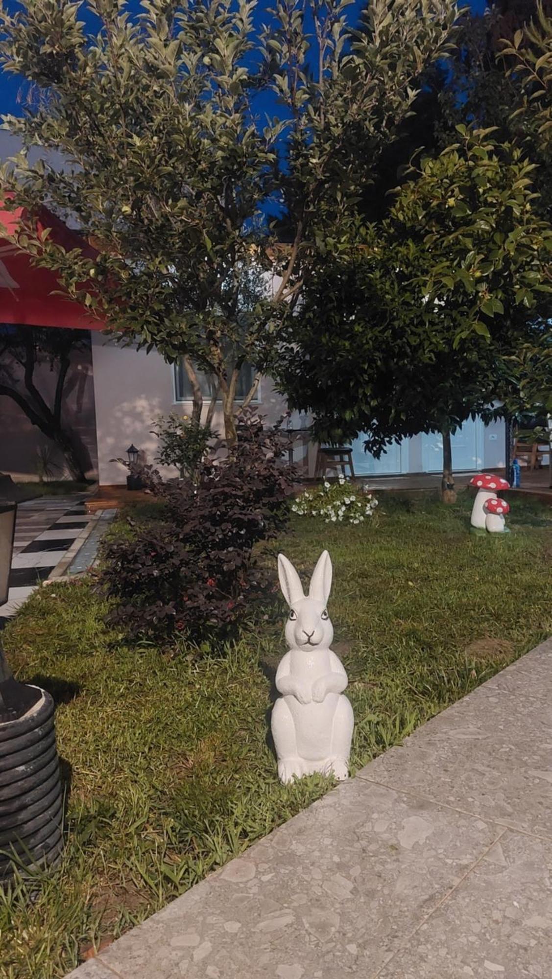 Vila Hyseni Durrës Exteriér fotografie